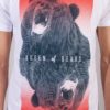 Queen of Bears t-shirt by Daniel Strohhäcker, detail view of the print